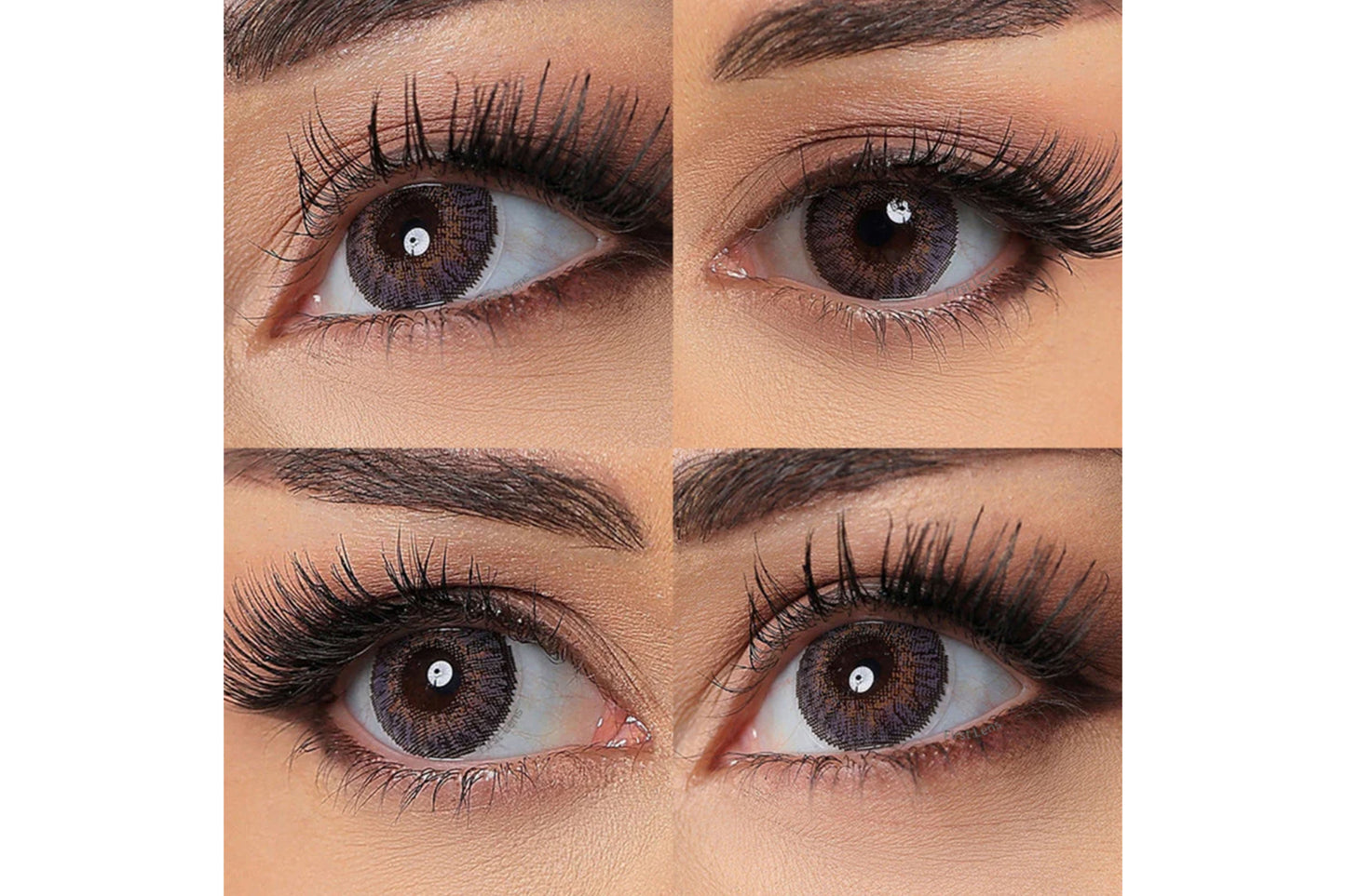 Celebration Toric Yearly Color (Lenses) - 2 Pcs Pack