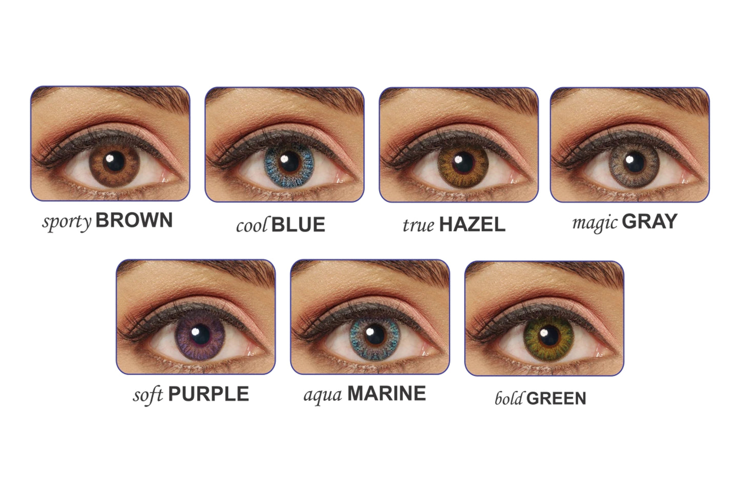 Polylite-38 Yearly Color (Lenses) - 2 Pcs Pack