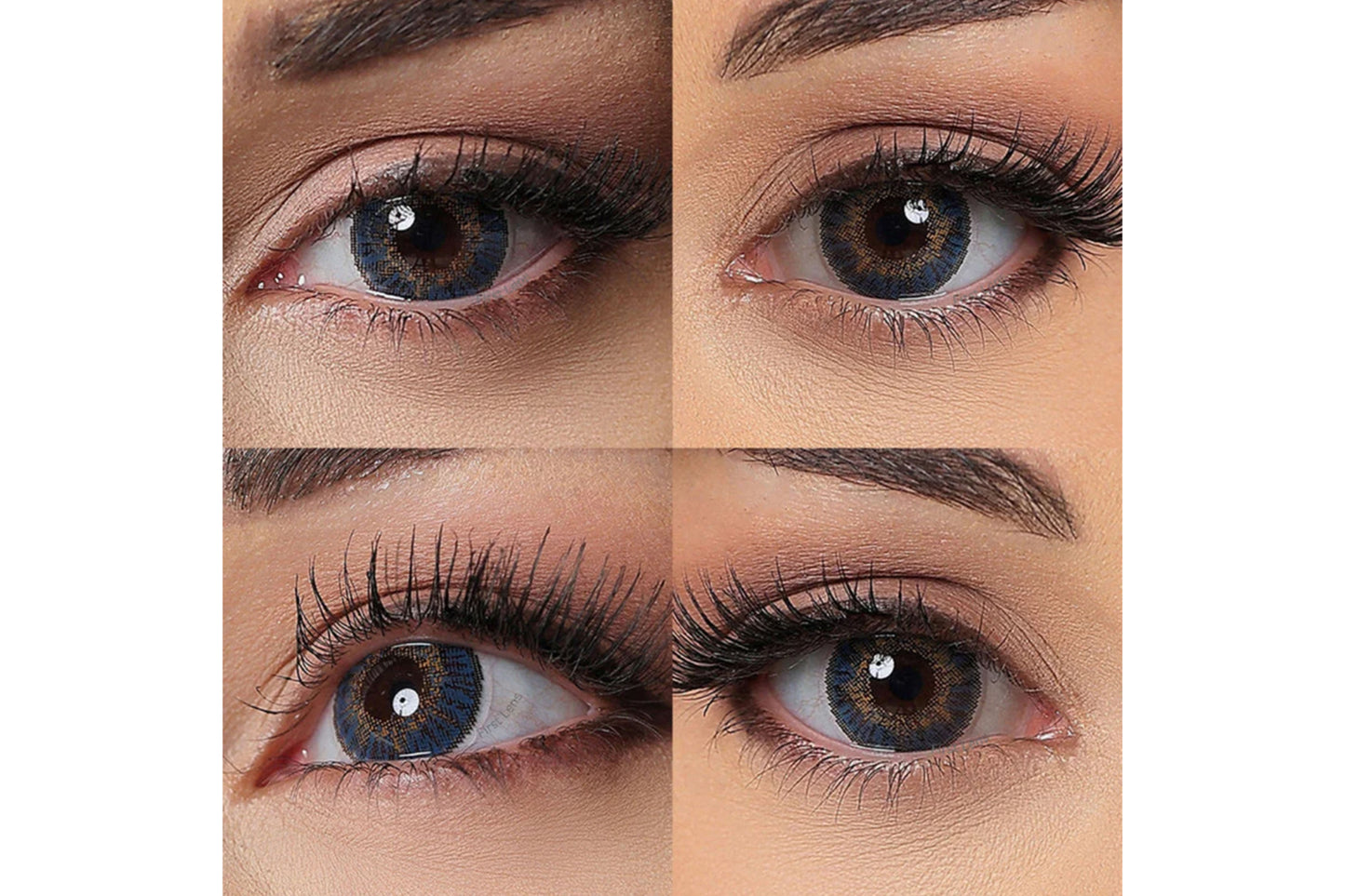 Celebration Toric Yearly Color (Lenses) - 2 Pcs Pack