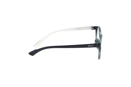 WE F17