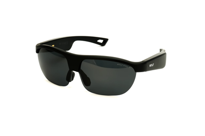 WE SMART GLASSES-G02